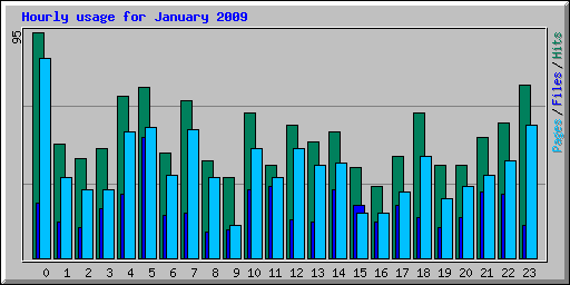 Hourly usage for January 2009